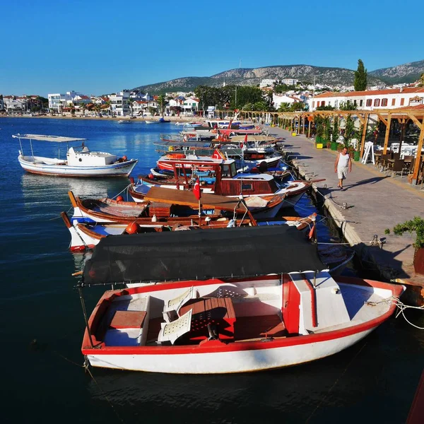 Vue Sur Mer Égée Avec Belles Vues Panoramiques Fleurs Arbres — Photo