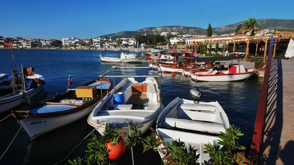 Vue Sur Mer Égée Avec Belles Vues Panoramiques Fleurs Arbres — Photo