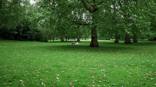 Londra 'nın panoramik manzarası ve detayları 