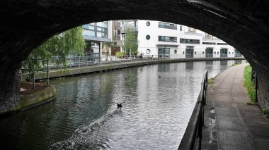 Londra şehri panoramik manzara ve mimari ayrıntılar 