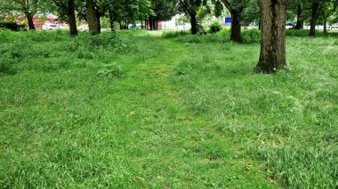 Londra 'nın panoramik manzarası mimari detaylarla dolu 