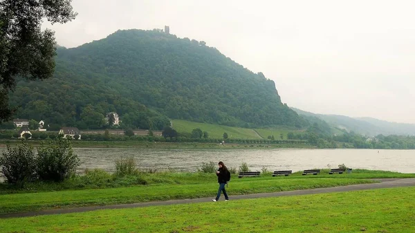 Bonn Gerany City Views River Panoramic Views — 图库照片