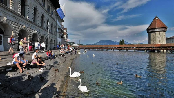 Viagens Zurique Lago Vistas Panorâmicas — Fotografia de Stock