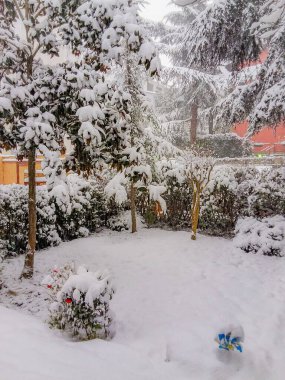 İlkbaharda ve kışın ağaçlar, bahçeler, çocuklar... 