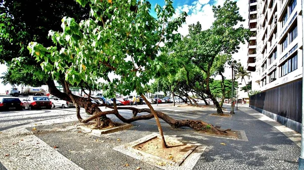 Brazílie Rio Janeiro Město Výhled Moře Písečnými Plážemi — Stock fotografie