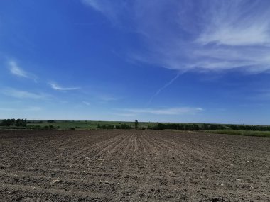 Buğday ve toprak arsaları ile panoramik manzaralar 