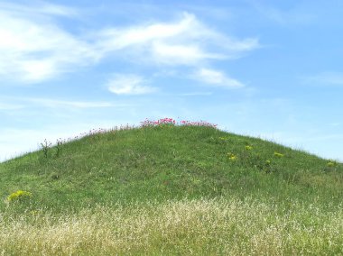 Buğday ve toprak arsaları ile panoramik manzaralar 