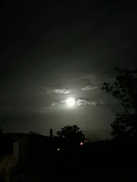 Dia Noite Vistas Panorâmicas Papoilas Lua Céu Azul — Fotografia de Stock