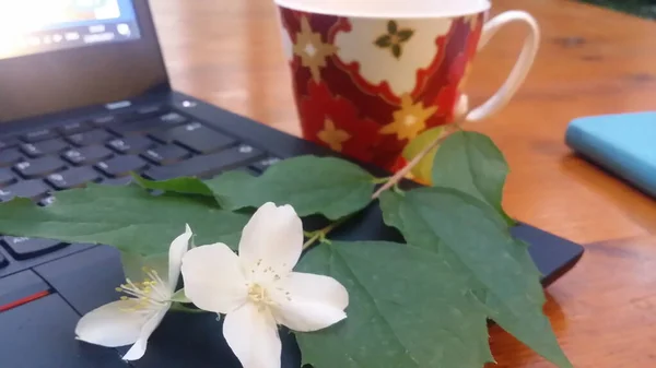 Merkez Ofis Kavramları — Stok fotoğraf