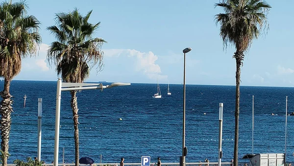 Barcelona España Verano Comida — Foto de Stock