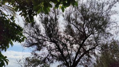 İspanya Barselona panoramik görünümleri 