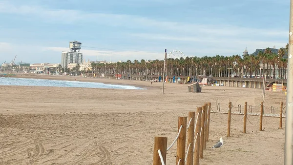 Βαρκελώνη Ισπανία Πανοραμική Θέα Στην Πόλη Και Θάλασσα Από Ciutat — Φωτογραφία Αρχείου