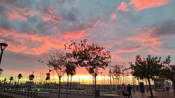 バルセロナ スペインのパノラマ都市とシウタット ヴェラからの海の景色 — ストック写真