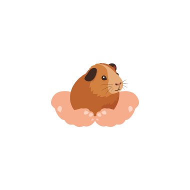 Bu hoş görüntü, insan ellerinde yavaşça sallanan, nazik bir bağ ve özeni sembolize eden büyüleyici bir kobay sunar. İllüstrasyonda, küçük evcil hayvanınkini vurgulayan neşeli bir stil yer alıyor.