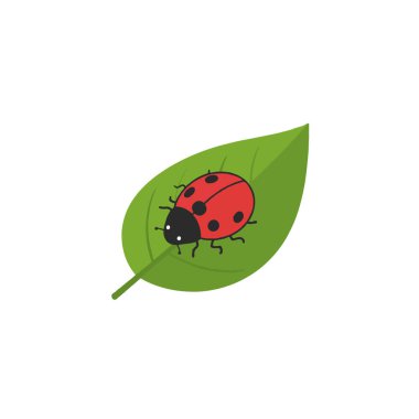 A charming illustration portrays a ladybug settled on a green leaf. The clean lines and bright colors evoke a sense of simplicity and the beauty of small wonders found in nature. This delightful