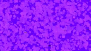 Dalgalı mavi baloncuklar ve parlak mavi arkaplanda ışık parçacıklarından oluşan kusursuz bir döngü..