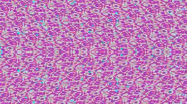 Hipnotize edici, canlı mor ve pembe renklerde girdap deseni büyüleyici ve organik bir görsel doku yaratıyor..