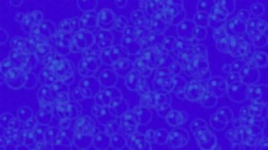 Parlayan mavi daireler ve kabarcıklarla dinamik soyut arkaplan büyüleyici bir desen oluşturuyor.