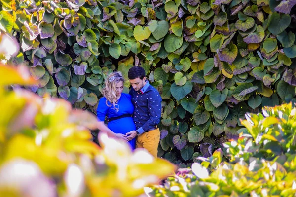 Jeune couple enceinte debout dans le parc — Photo