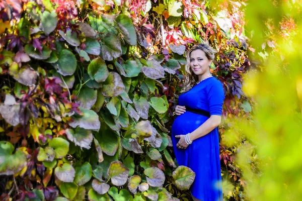 Portrét krásné mladá těhotná blondýna. — Stock fotografie