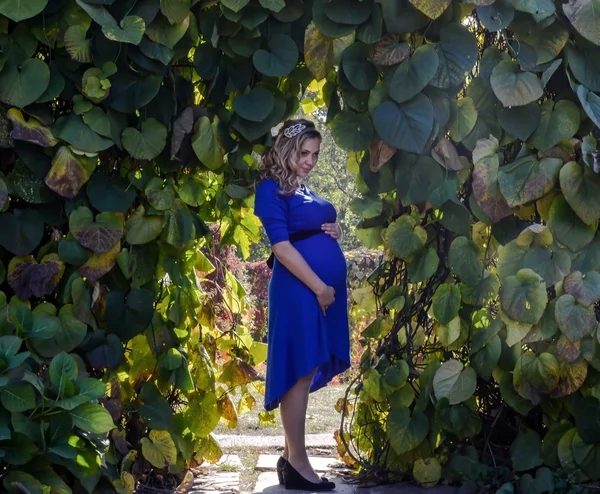 Portrait a lovely young blond pregnant woman. — Stock Photo, Image