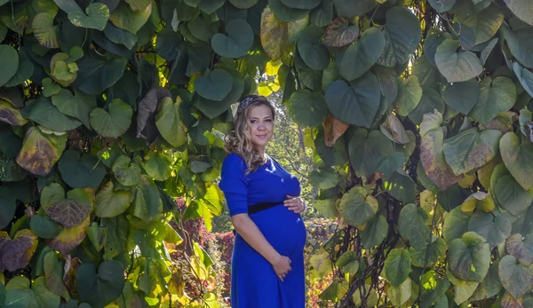 Portrait a lovely young blond pregnant woman. — Stock Photo, Image