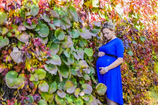 Portrét krásné mladá těhotná blondýna. — Stock fotografie