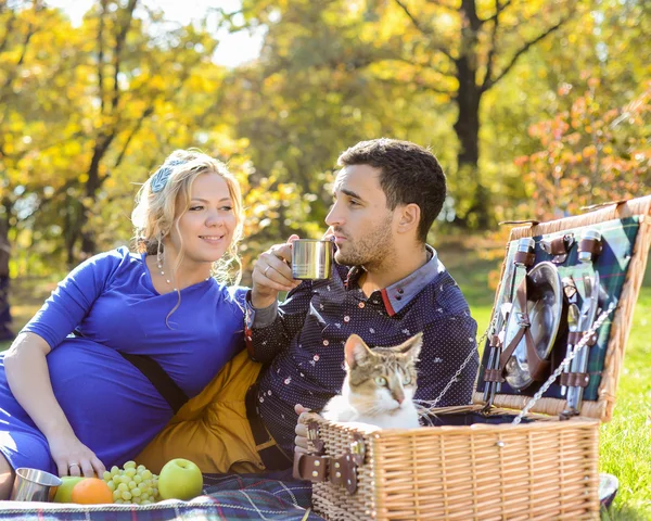 Pregnant happy and smiling couple on picnic with cat