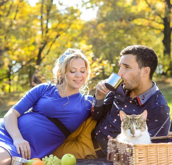 W ciąży szczęśliwa i uśmiechnięta para na piknik z kotem — Zdjęcie stockowe