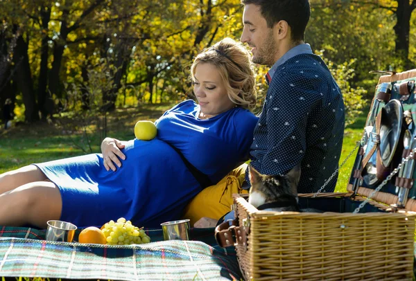 Pregnant happy and smiling couple on picnic with cat