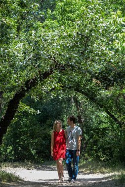 Genç çift yeşil yaz parkta güzel  