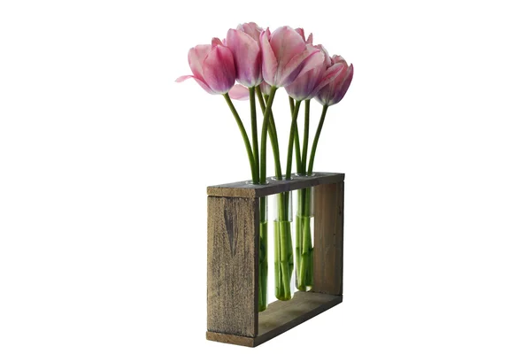 Три вазы тюльпанов — стоковое фото