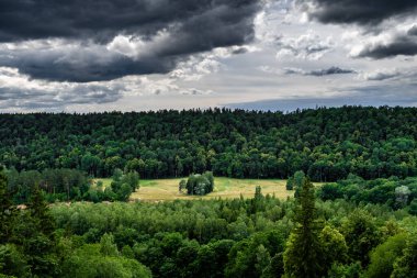 Yeşil çimenler, çayırlar ve ormanlarla dolu güzel bir kırsal alan. İlkbaharda harika bir hava.