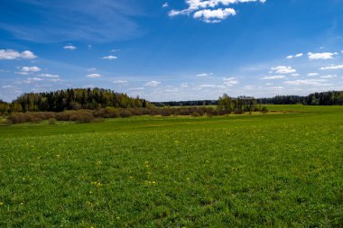 Yeşil çimenler, çayırlar ve ormanlarla dolu güzel bir kırsal alan. İlkbaharda harika bir hava.