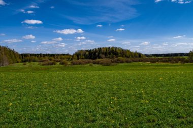 Yeşil çimenler, çayırlar ve ormanlarla dolu güzel bir kırsal alan. İlkbaharda harika bir hava.