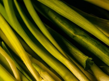 Güzel yeşil soğan soğanları yakın çekim