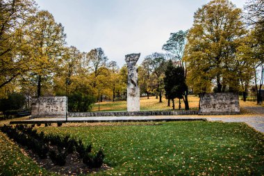 Riga, Letonya. Fotoğraf Grizinkalns Park 'ta çekildi. Sonbaharda park et ve yedek bırak. Sonbahar arkaplanı. Sonbahar ormanı. Yere düşen yapraklar. Sarı sonbahar ormanı