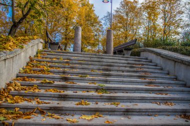 Riga, Letonya. Fotoğraf Grizinkalns Park 'ta çekildi. Sonbaharda park et ve yedek bırak. Sonbahar arkaplanı. Sonbahar ormanı. Yere düşen yapraklar. Sarı sonbahar ormanı