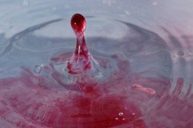 Renkli su damlası, daire şeklinde dalgalar, biraz su, yakın plan..