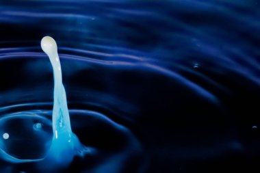 Renkli su damlası, daire şeklinde dalgalar, biraz su, yakın plan..