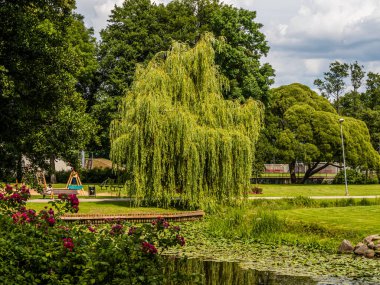 Botanik Bahçeleri. Doğal yeşil tropikal yapraklar, çiçekler, soyut yeşil doku, doğa arka planı