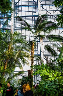 Botanik Bahçeleri. Doğal yeşil tropikal yapraklar, çiçekler, soyut yeşil doku, doğa arka planı