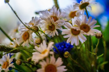 Yaz çiçekleri sıcak mevsimde bahçelerde çiçek açar. Farklı renk ve tipleri var. Birçok yaz çiçeğinin hoş bir kokusu vardır. Bu çiçekler herhangi bir bahçenin süsüdür.
