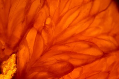 Parlak, sulu portakal suyu posasını yakından çek. Yüksek kaliteli görüntü başlıklar için uygundur: sağlıklı yaşam tarzı, vitaminler, uygun beslenme, diyet, yaz, taze meyve suyu. Arkaplan meyve dokusu.