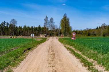 Yazın güzel ağaçlar ve güneş ışığı olan kırsal yol.