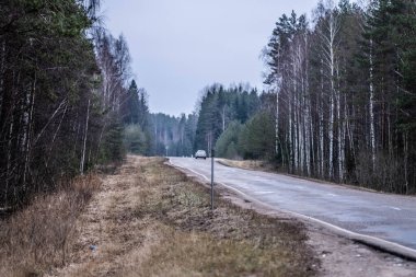 Asfalt karayolu çevresi orman, yol işareti, kara taşımacılığı ve seyahat arka planıyla çevrili.