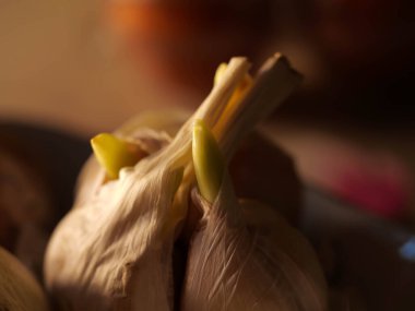 baş sarımsak koyu arka planda izole