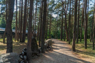 VENTSPILS, LATVIA, 9 Haziran 2019: Parklar, anıtlar ve sokaklar.