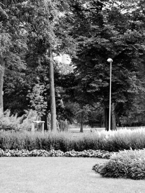 Park yolu. Riga 'daki Arkadijas Parkı, bölge ajansları.