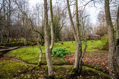 Ormandaki eski su değirmenindeki Ieriku doğa parkının şelaleleri. Letonya 'daki Gauja Ulusal Parkı' nın bir parçası..